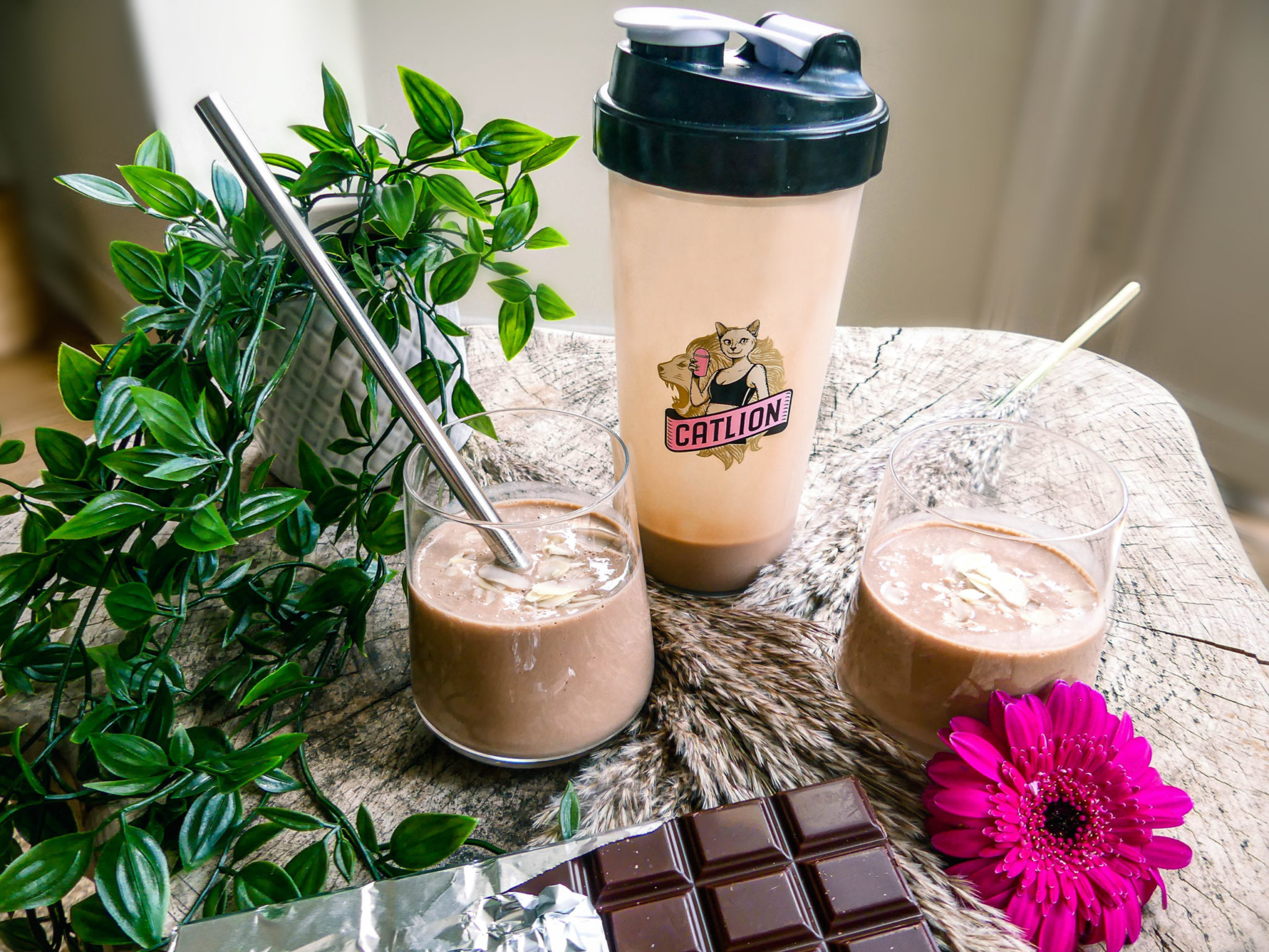 Shake Chocolat | Catlion